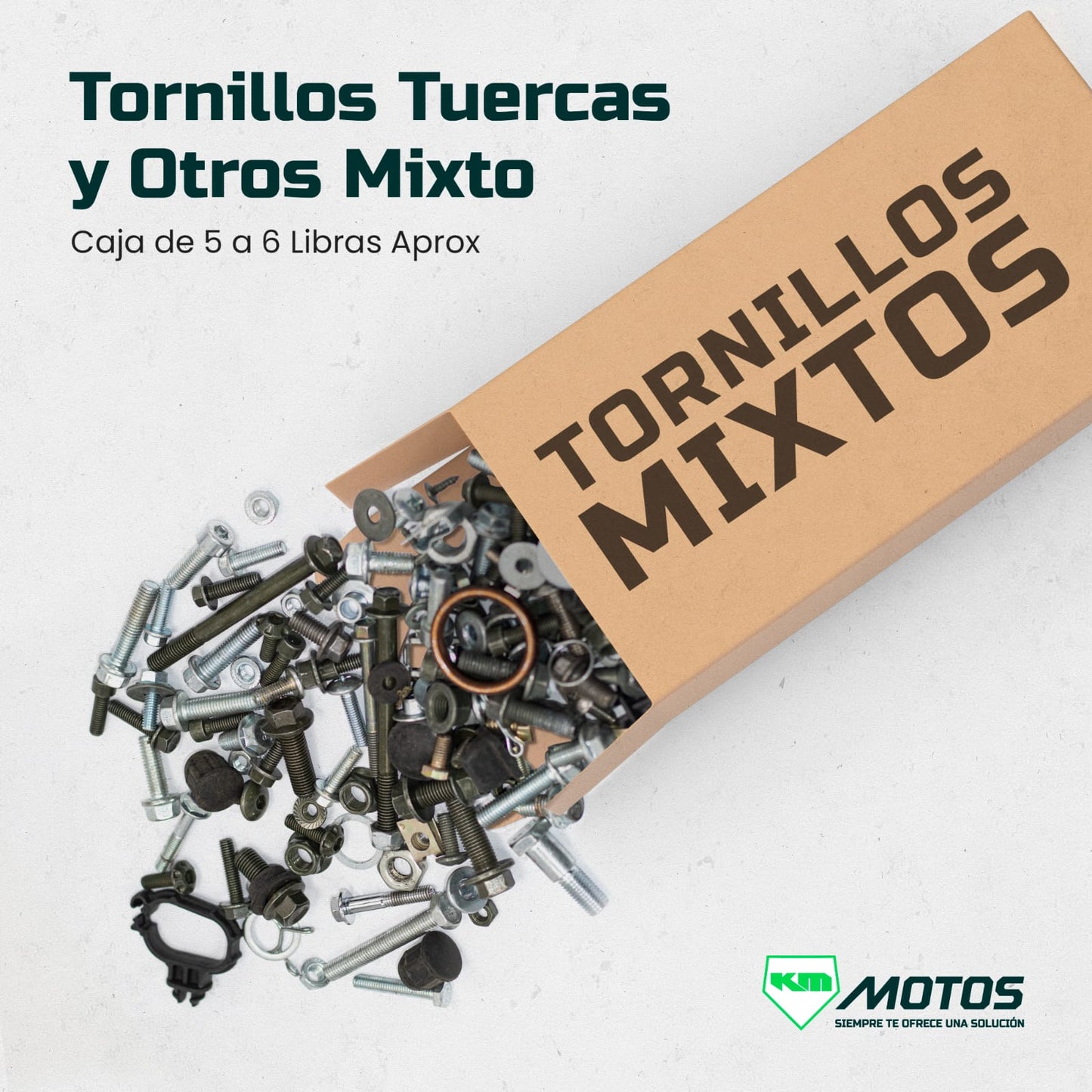 CAJA DE TORNILLERIA VARIADA