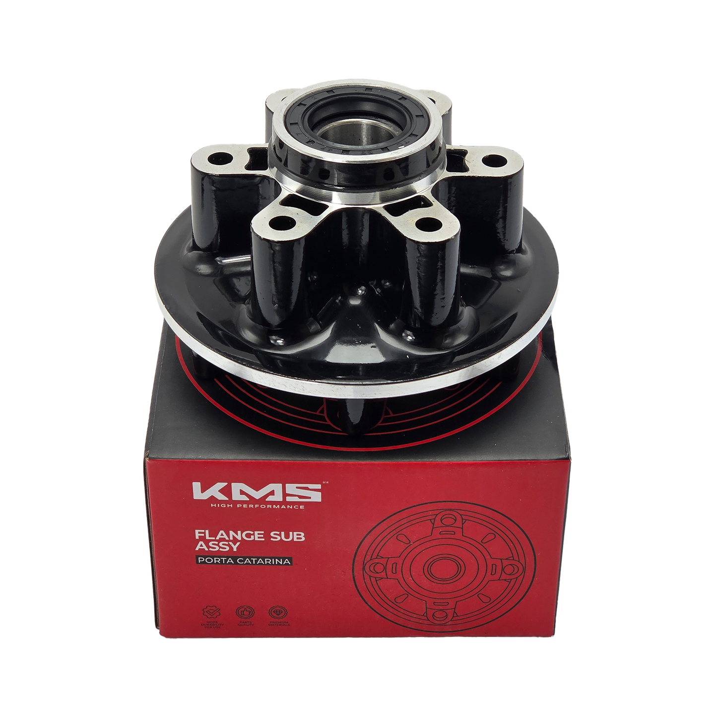 PORTA CATARINA NS200 KMS