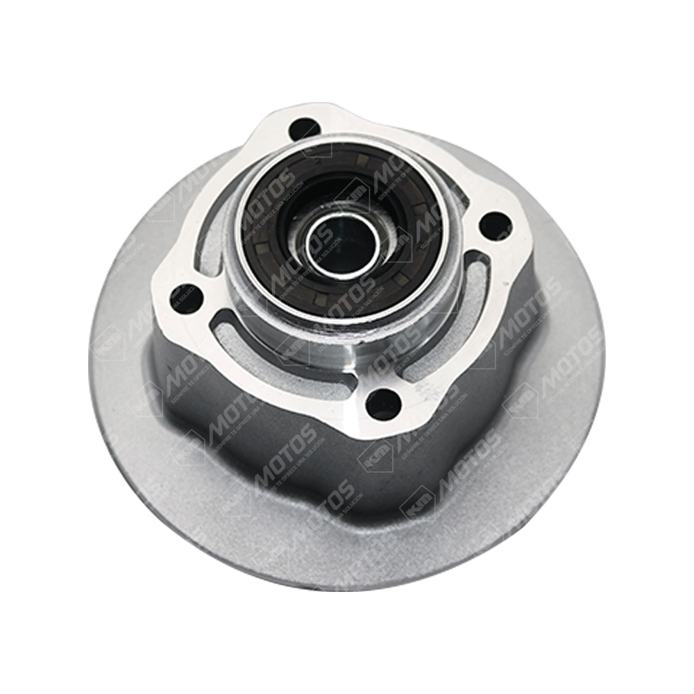 PORTA CATARINA HJ125