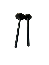 KIT VALVULAS PLATINA 100