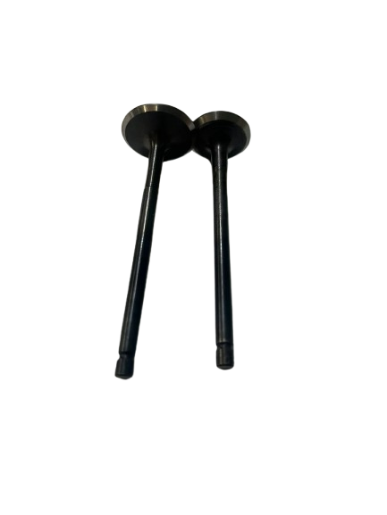 KIT VALVULAS PLATINA 100