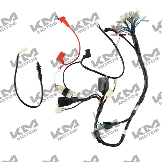 Sistema eléctrico del arnés eléctrico principal Italika FT115 DT110, componentes visibles en la imagen.