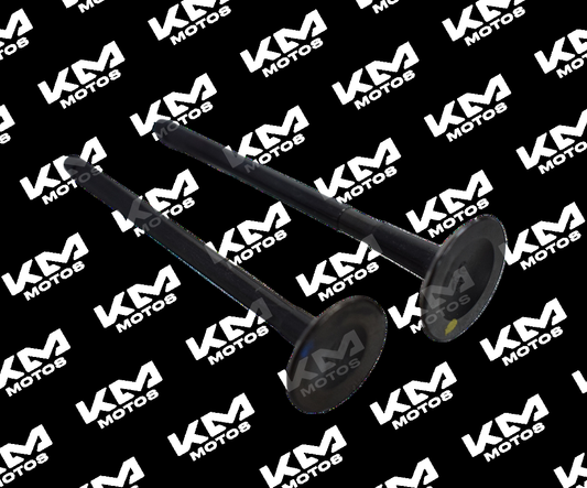 Conjunto de válvulas de motor Discover 100 Boxer de la marca Universal, componentes para reparación de motor en imagen.