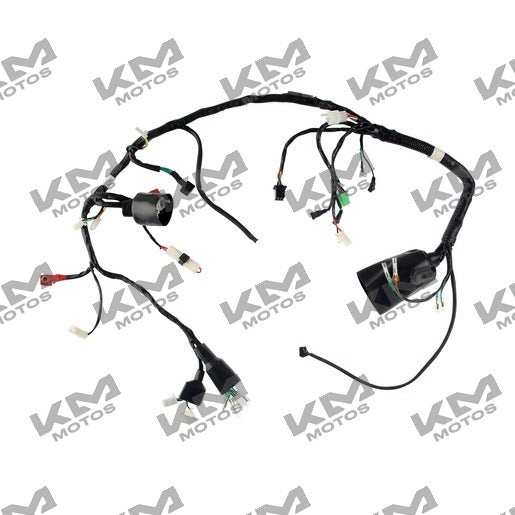 Sistema eléctrico Arnes eléctrico principal FT200TS Italika, original F06050169, con cables y conectores visibles.