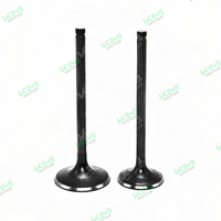 VALVULAS DE ADMICION Y ESCAPE CG250/DM250 VARILLA