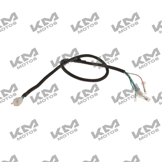 Arnés eléctrico secundario trasero para motocicleta Italika 125Z, sistema eléctrico original F06020169, componente de la moto.