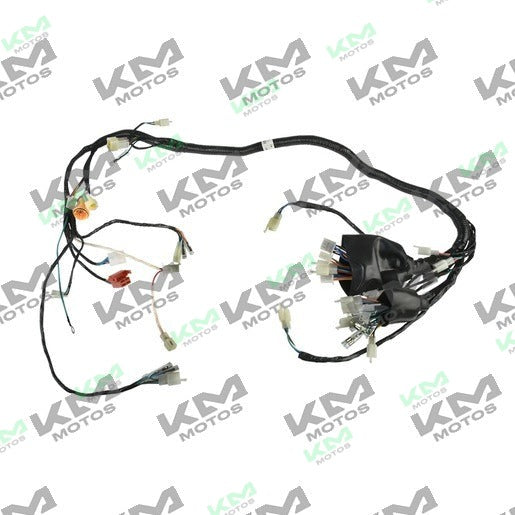 Sistema eléctrico ATV250 con reversa Italika, arnés eléctrico principal para ATV, componente original F06050072