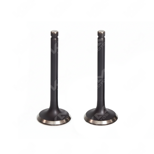 VALVULA DE ADMISION FT150