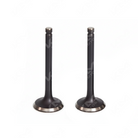 VALVULA DE ADMISION Y ESCAPE CG200/TX200/DM200/GYA 67MM 198CC