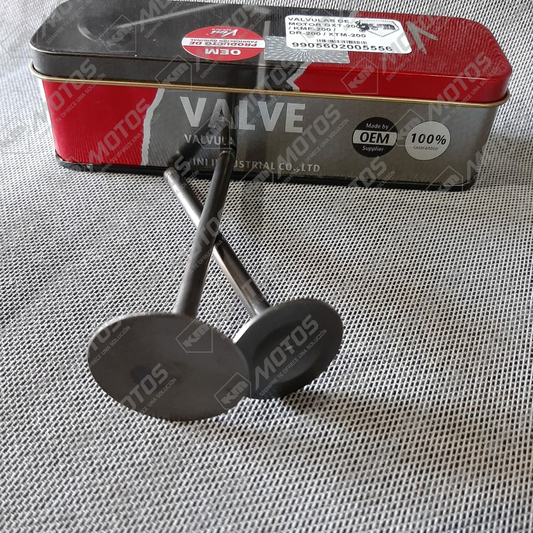 VALVULAS DE MOTOR GXT200/KMF200/DR200/XTM200