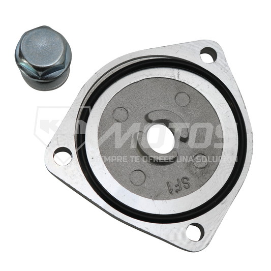 TRIANGULO DE CARTER CON TORNILLO GXT200/KMF200/EN125/GN125
