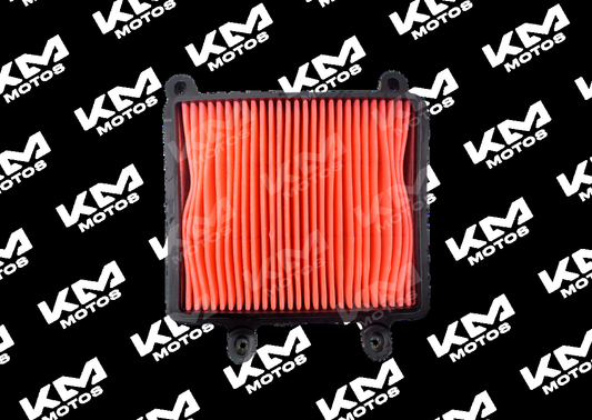Filtro de aire para gasolina XR190L, imagen de código 9956028028919-C, muestra el filtro de aire para motores de gasolina.