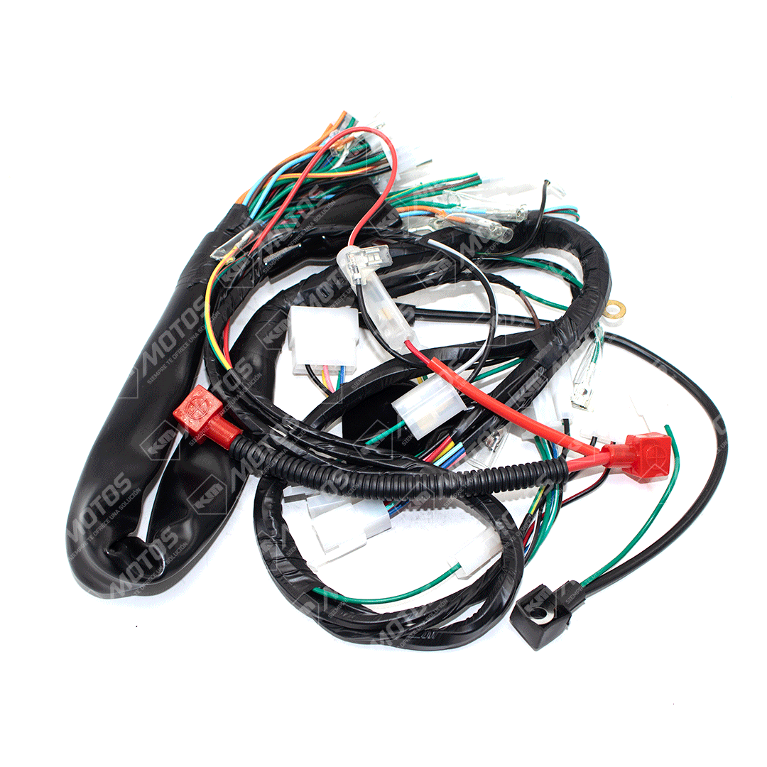 Arnes Eléctrico Serpento NAGA200 (2019)