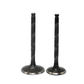 VALVULAS DE MOTOR GY6150/ITALIKA/MAGNUM/SERPENTO