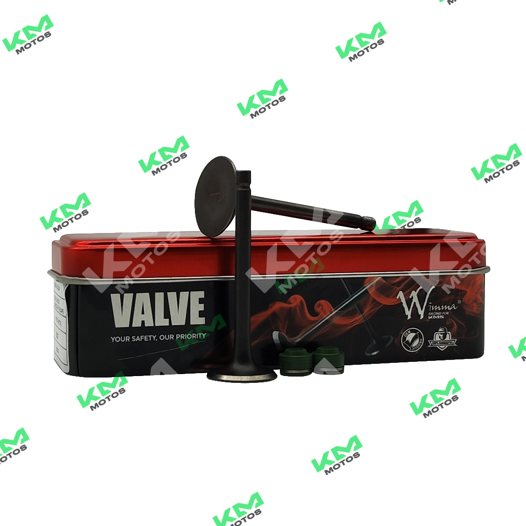 Válvula de admisión y escape para YBR125, componente de motor, muestra las válvulas metálicas para sistema de combustión.