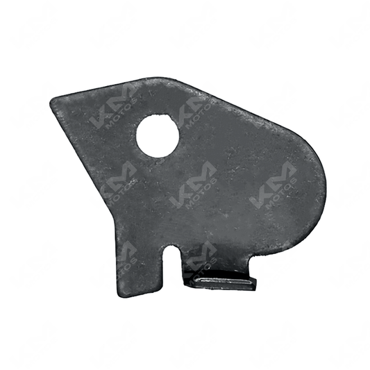 PLACA CADENA DE TIEMPO FIERA 250