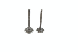Válvula de admisión Universal CS125/XS125/D125 para motor, imagen que muestra la pieza metálica con detalles de la válvula.