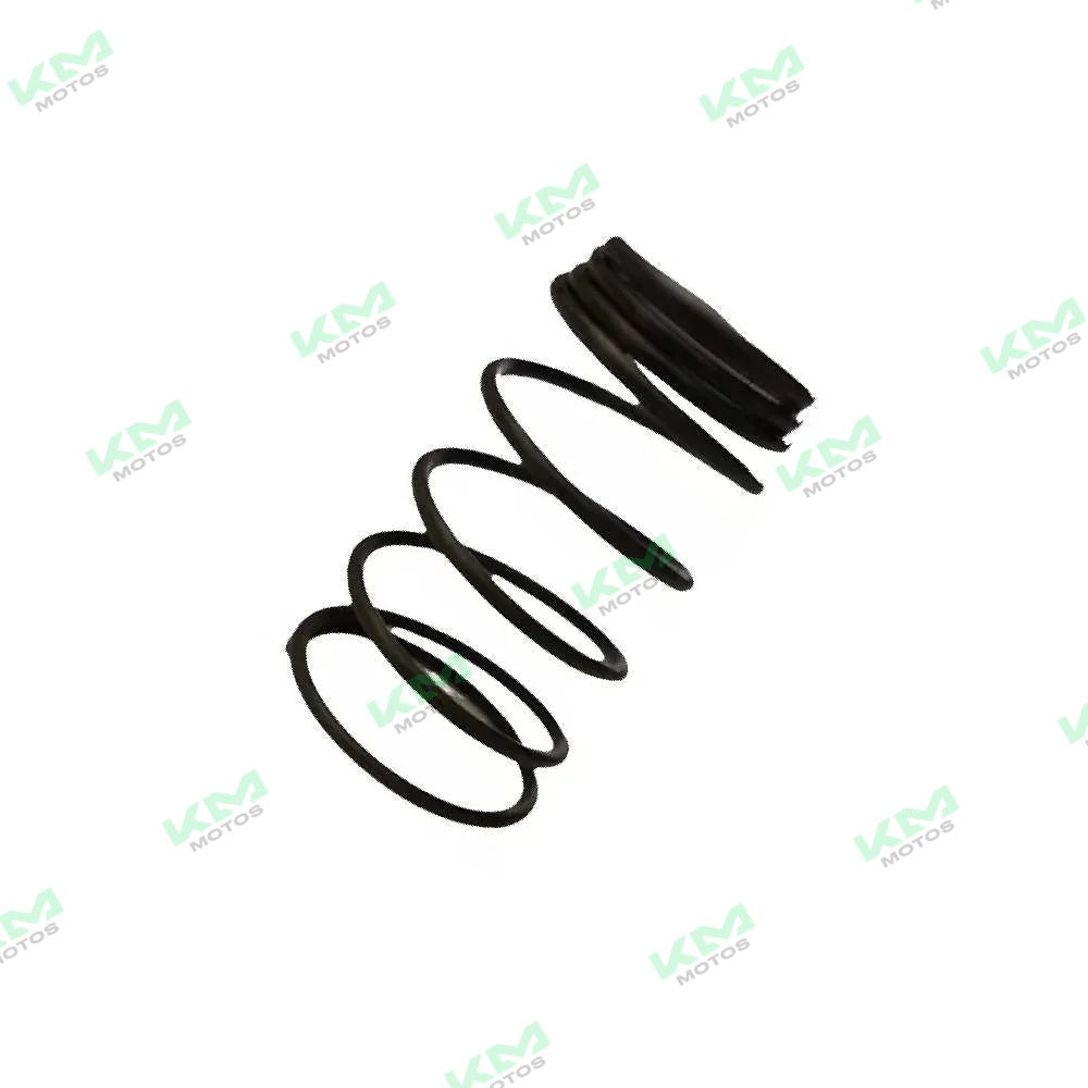 Resorte de Malla de Filtro Italika CS125 GS150 DS150 (Original E10050008)