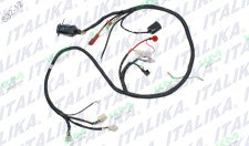 Arnés Eléctrico Principal Italika CS125 XS125 CS125 LED (Original F06050004)