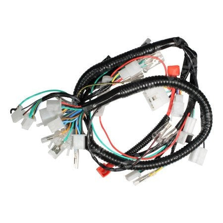 Arnés eléctrico principal Universal FT125 New SPORT y Clásico, con cables y controles visibles en la imagen.