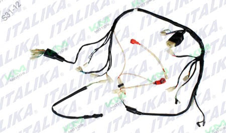 Arnés eléctrico principal DM150 Italika, sistema eléctrico original para motocicleta, muestra cables y conexiones en la imagen.