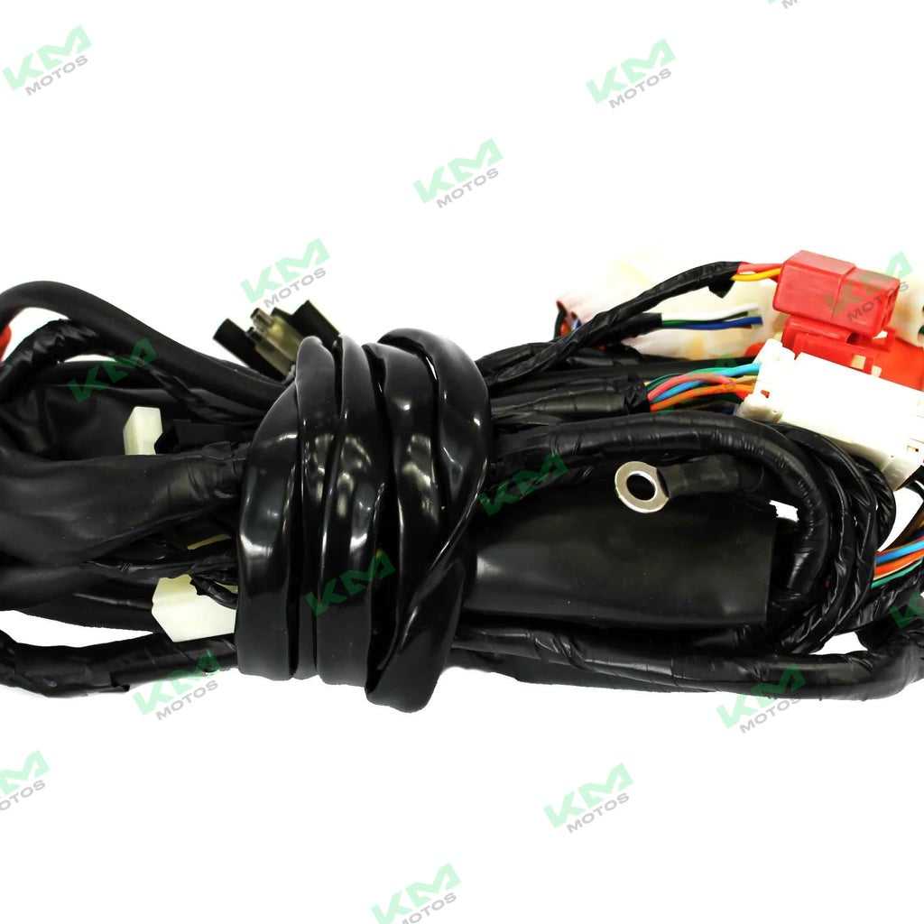 Arnés Eléctrico Principal VORT-X 200 Italika Original (F06050142)