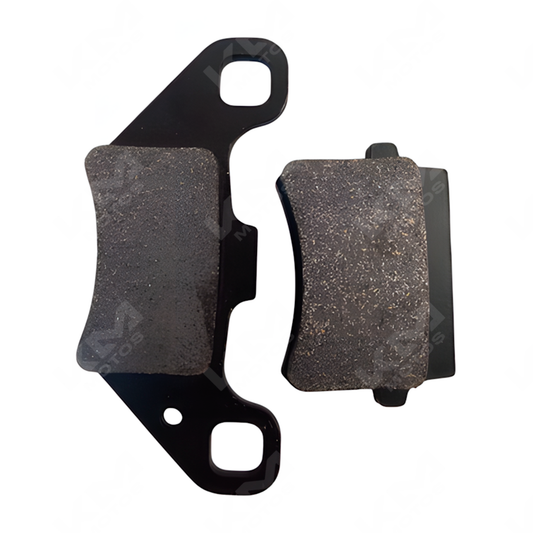 GUARDAFANGO TRASERO 150SZ