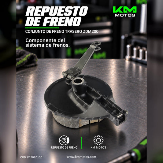 Conjunto de freno trasero ORIGINAL ZDM200 con componentes visibles y acabado metálico para motocicleta.