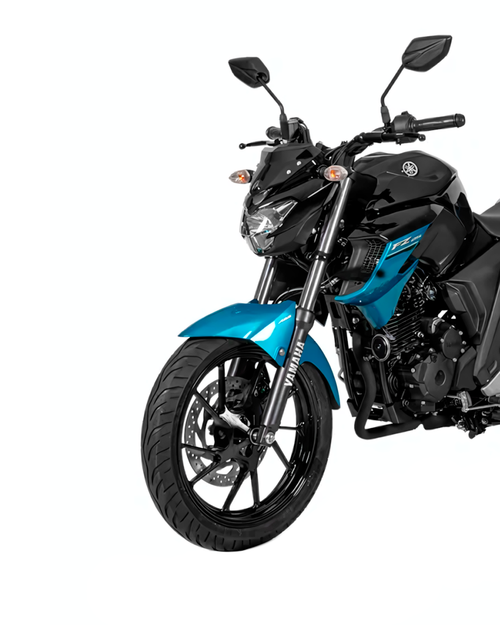 FZ250