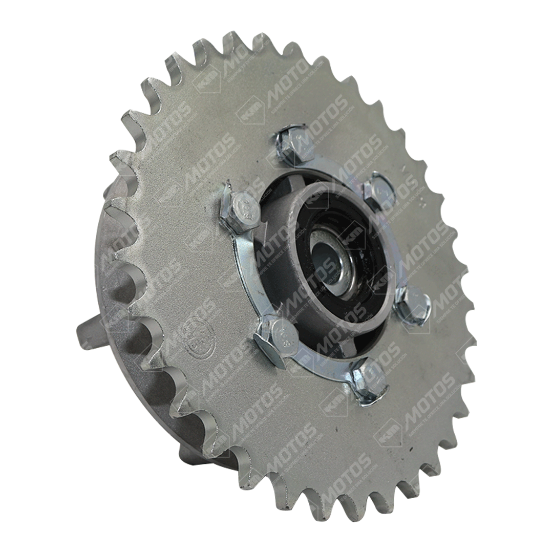 PORTA CATARINA CR5PRO/250Z/GSR250-4 OEM COMPLETO 34T/520H - KMMOTOSHN