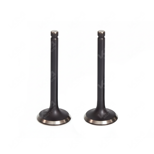 VALVULAS DE ADMICION Y ESCAPE YBR125/XTZ125