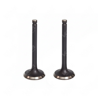 VALVULA DE ADMISION Y ESCAPE CG200/TX200/DM200/GYA 67MM 198CC