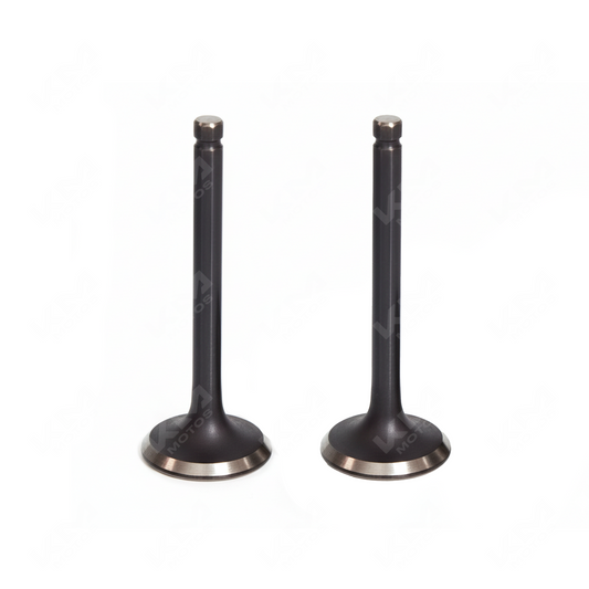 VALVULA DE ADMISION Y ESCAPE CG200/TX200/DM200/GYA 67MM 198CC