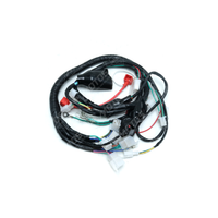 ARNES ELECTRICO KMF250R/GXT250R