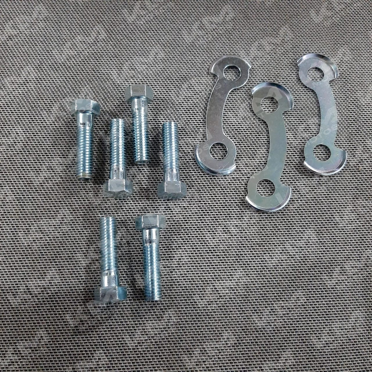 Tornillos de Catarina Gxt/kmf (ESPARRAGOS)