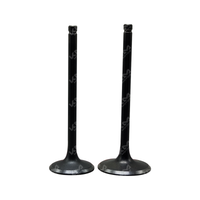VALVULAS DE ADMICION Y ESCAPE GXT200/KMF200/DR200/XTM200