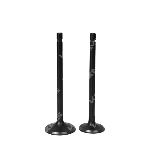 VALVULAS DE ADMISION Y ESCAPE CG150/DM150/RT180/FT150/KB150 5MM