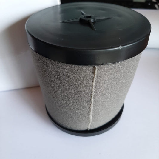 FILTRO DE AIRE FT125