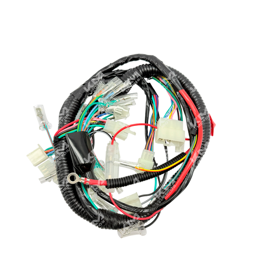 Arnes Eléctrico CG125/FT125/MG125-7