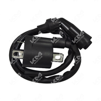 BOBINA DE ALTA CG125/TX200/HJ125/YBR125/PLATINA125/FT150/EN125/ETWQ1253/BZJ25021/ROADSTER/SPLENDOR