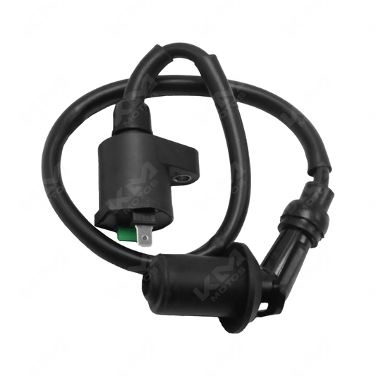 BOBINA DE ALTA WY/GY6-150