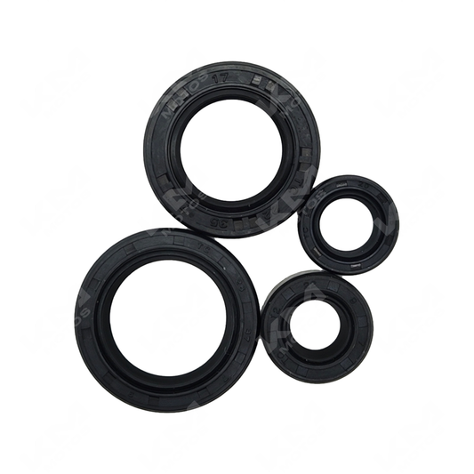 SELLOS DE MOTOR NS200 (RETENEDORES)