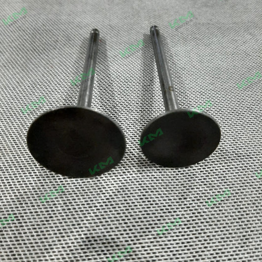 Válvulas de Admicion y Escape KMF250R WD