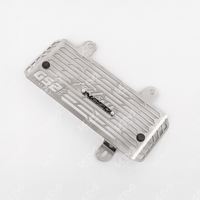 PROTECTOR DE RADIADOR PULSAR N250