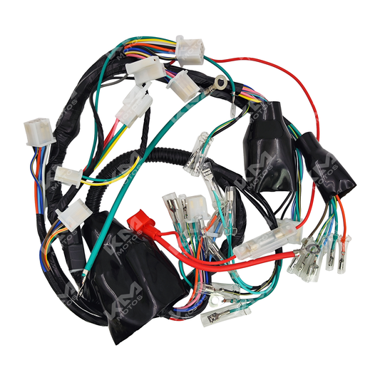Arnes Eléctrico FT150/RT180/DM150