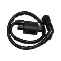 BOBINA DE ALTA CG125/TX200/HJ125/YBR125/PLATINA125/FT150/EN125/ETWQ1253/BZJ25021/ROADSTER/SPLENDOR KMS