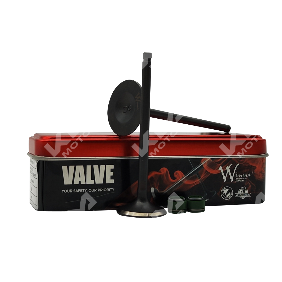VALVULAS DE ADMICION Y ESCAPE GXT200/KMF200/DR200/XTM200