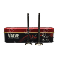 VALVULAS DE ADMICION Y ESCAPE DISCOVER 100-BOXER BM 100-KS ES WIMMA