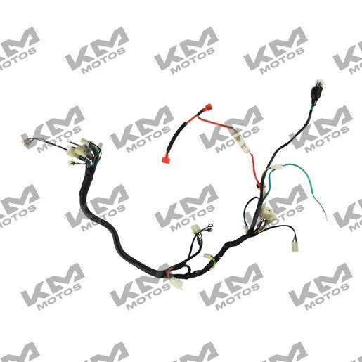 Sistema eléctrico Arnes Principal Forza 125 Italika, muestra cables y conexiones originales para motocicleta Italika.