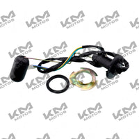 SENSOR DE COMBUSTIBLE DS150 VERDE